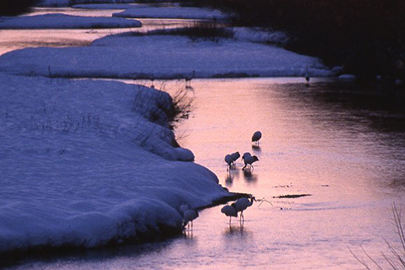 釧路湿原国立公園の写真その6