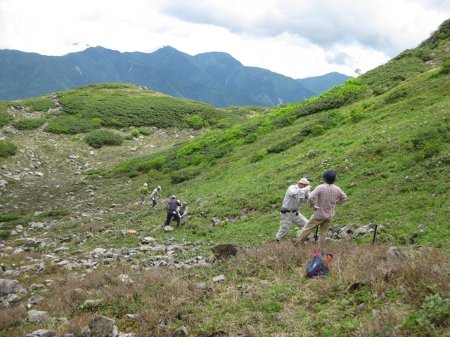 タイトル　荒川岳 防鹿柵