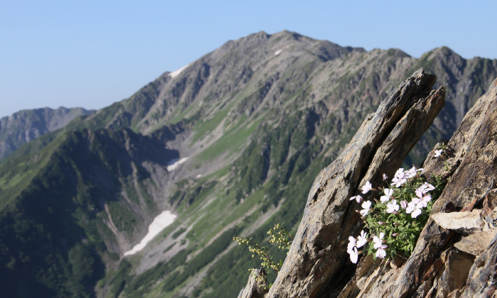 photo of Minami Alps National Park