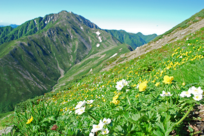 photo 1 of Minami Alps National Park
