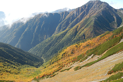 photo 3 of Minami Alps National Park