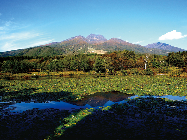 photo of Imori-ike Pond