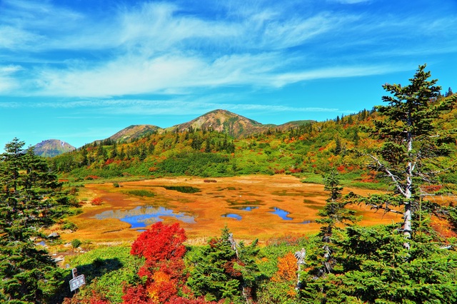 タイトル　火打山　高谷池（秋）