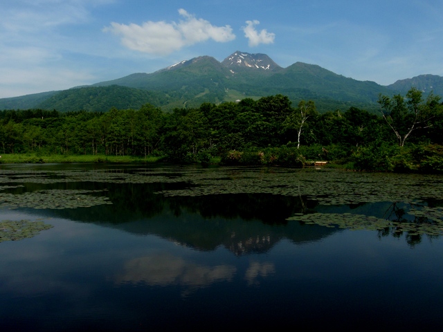 タイトル　いもり池から妙高山（夏）