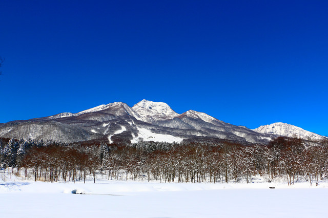 タイトル　いもり池より妙高山 (冬)