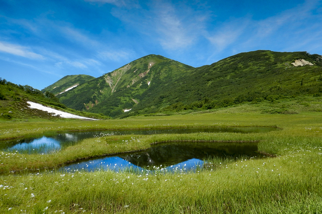 タイトル　天狗の庭より火打山（夏）