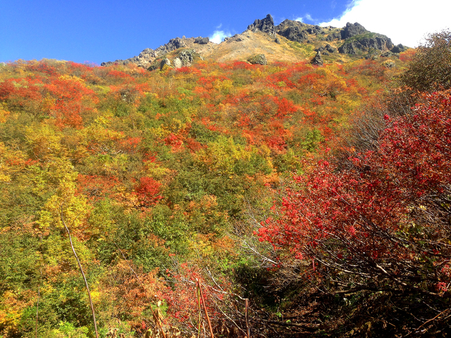 タイトル　焼山（秋）