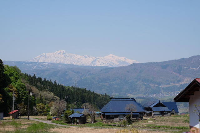 タイトル　｢小管の里から仰ぎみる妙高山｣