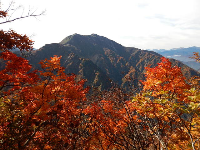 タイトル　雨飾山（秋）