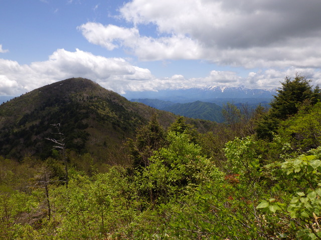 タイトル　霊仙寺山 (2)