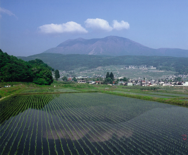 タイトル　飯縄山 春