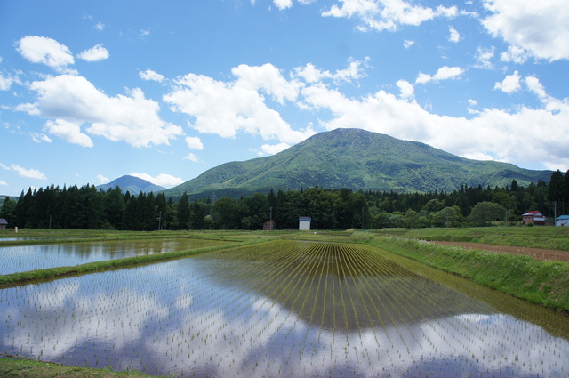 タイトル　｢早苗の水面に映る黒姫山｣