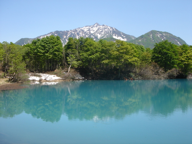 タイトル　｢しろ池と雨飾山-新緑｣