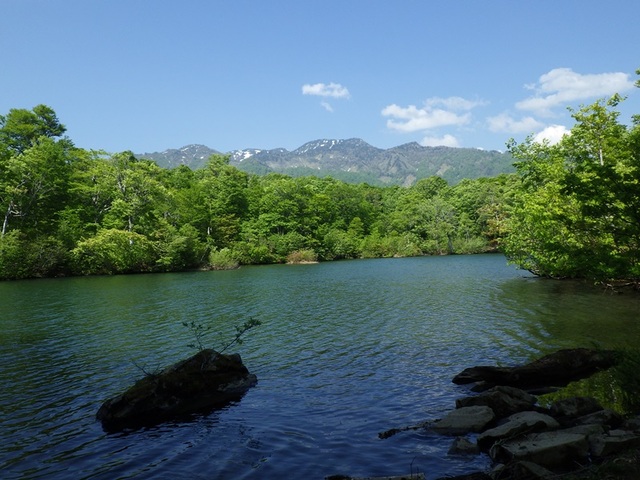 タイトル　｢鎌池｣