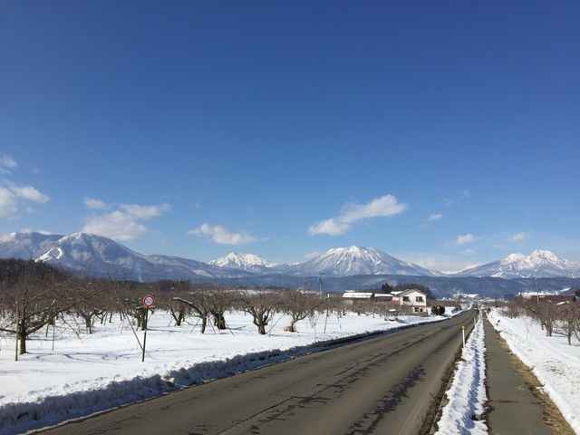 タイトル　｢一面のりんご畑から望む五山｣