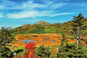 photo of Crimson Foliage of the Koya Pond 