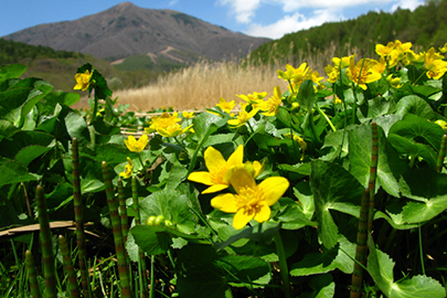 photo 1 of Myoko-Togakushi renzan National Park