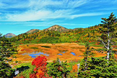 photo 7 of Myoko-Togakushi renzan National Park