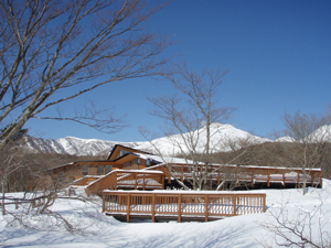 photo of Nasu Heisei-no-mori Forest