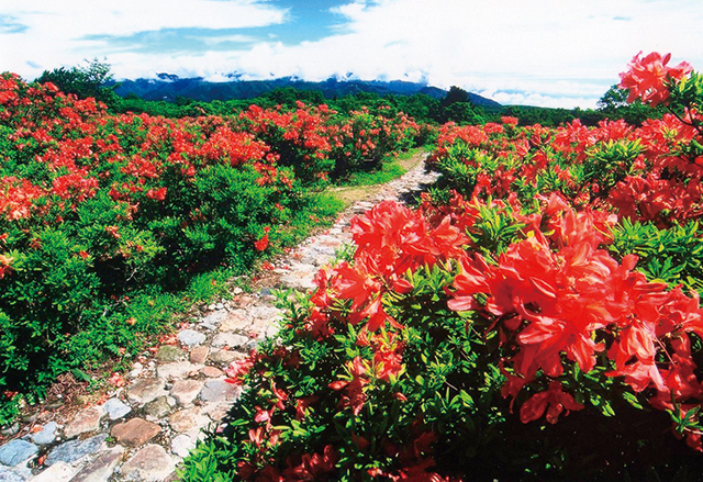 photo of Happogahara Plateau