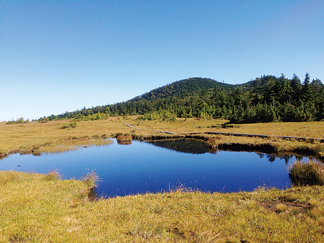 photo of Kinu-numa Swamp