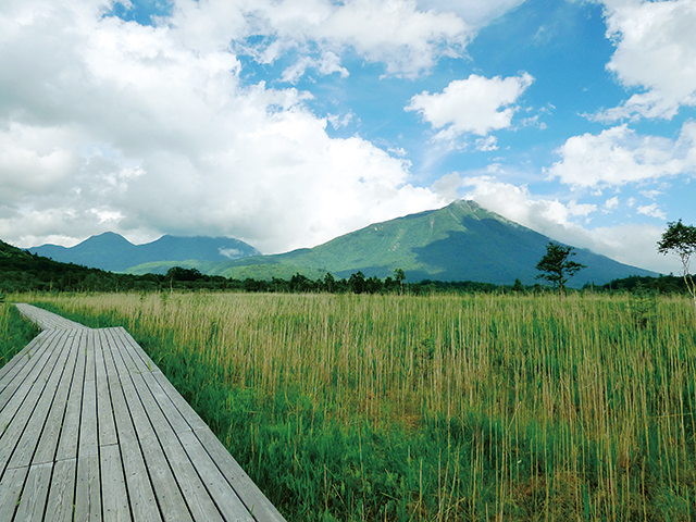 photo of Oku-nikko High Moor