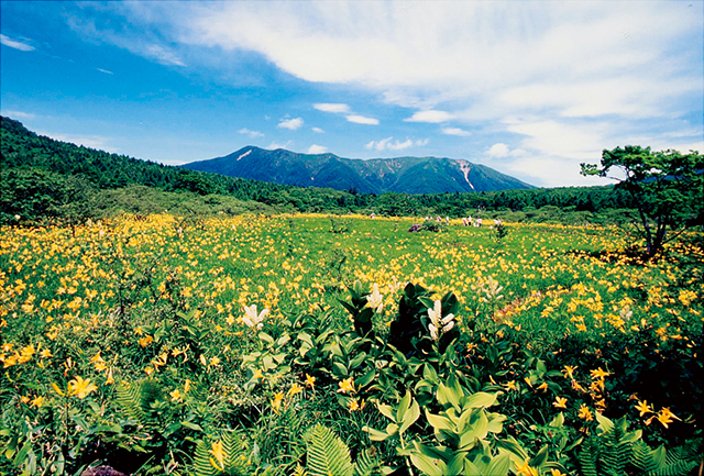 photo of Numappara Moor