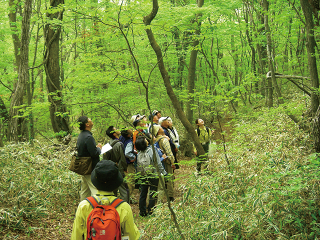 photo of Nasu Heisei-no-mori Forest