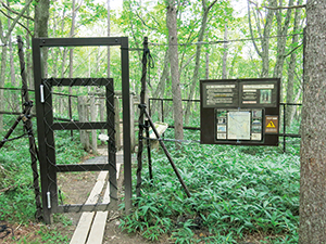 photo of Gate Preventing Deer's Entrance