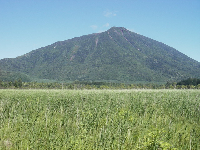 タイトル　戦場ヶ原から見た男体山-1