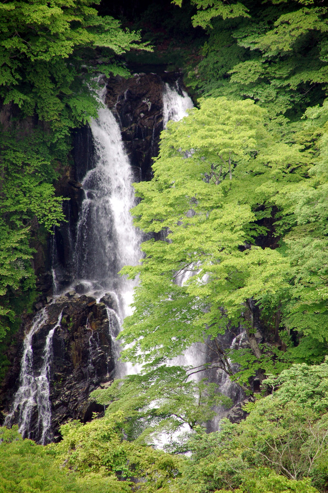 タイトル　霧降の滝