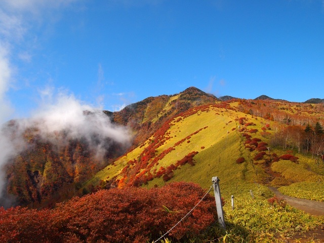 タイトル　暖系色の赤薙山