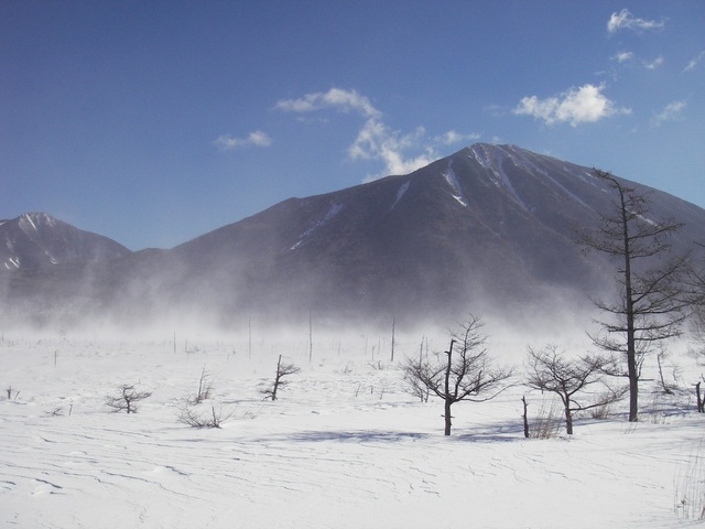 タイトル　戦場ヶ原の地吹雪