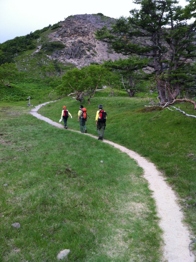 タイトル　日光白根山登山道の巡視