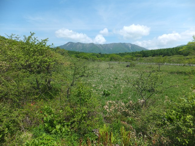 タイトル　沼原湿原[1]