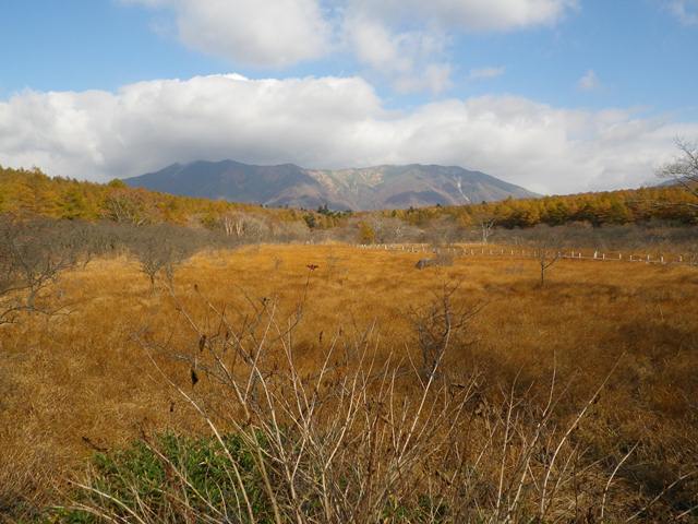 タイトル　沼原湿原[2]