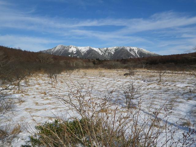 タイトル　沼原湿原[3]