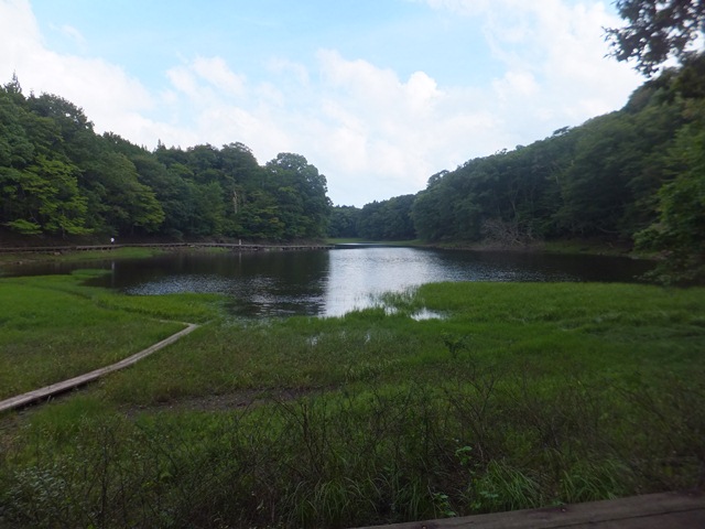 タイトル　秋の大沼