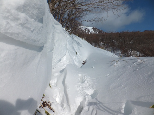 タイトル　冬の通り道