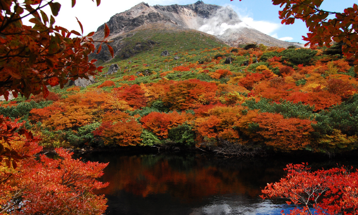 photo of Nikko National Park