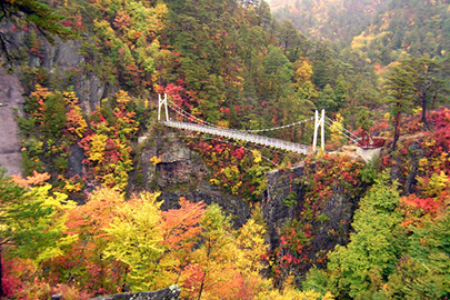 photo 6 of Nikko National Park