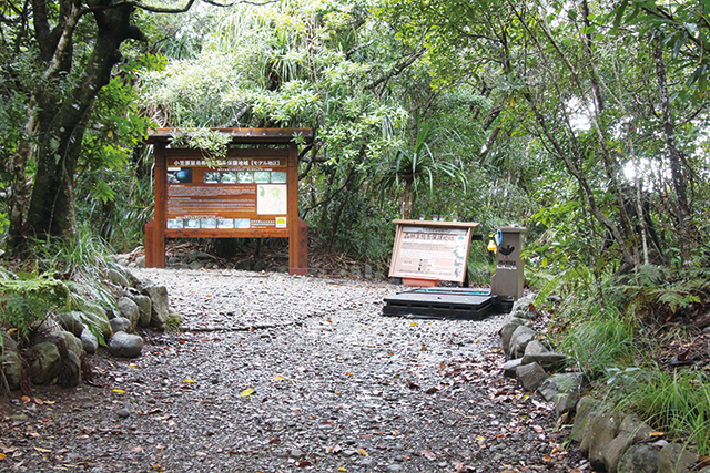 photo of Higashidaira Akagashira Karasubato (Red-headed Wood Pigeon) Sanctuary