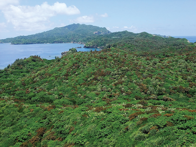 photo of Minamizaki-Kofuji