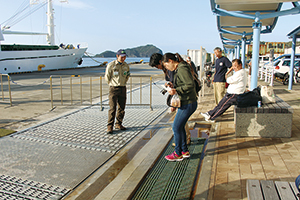 photo of Shoe Sold Washing Prior to Boarding