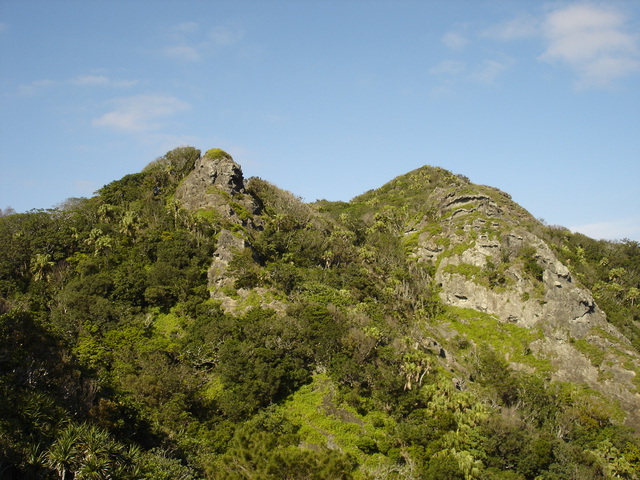 タイトル　ツツジ山