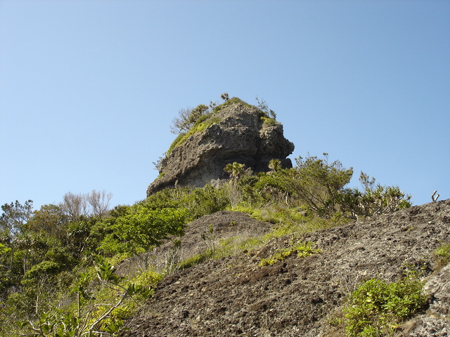 タイトル　父島朝立岩