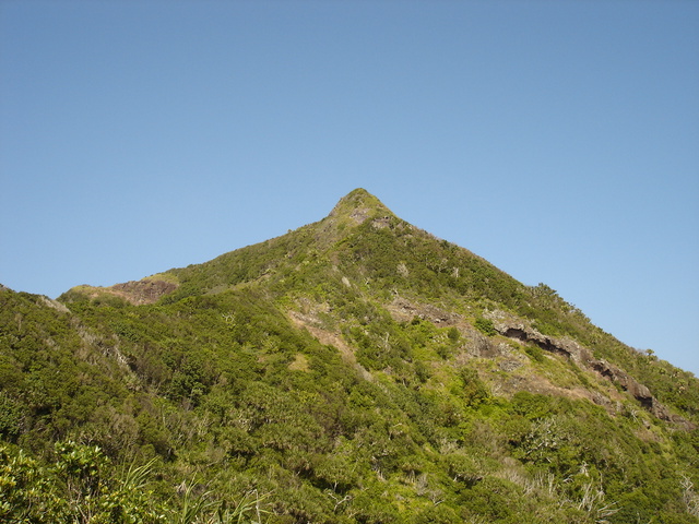 タイトル　母島東山