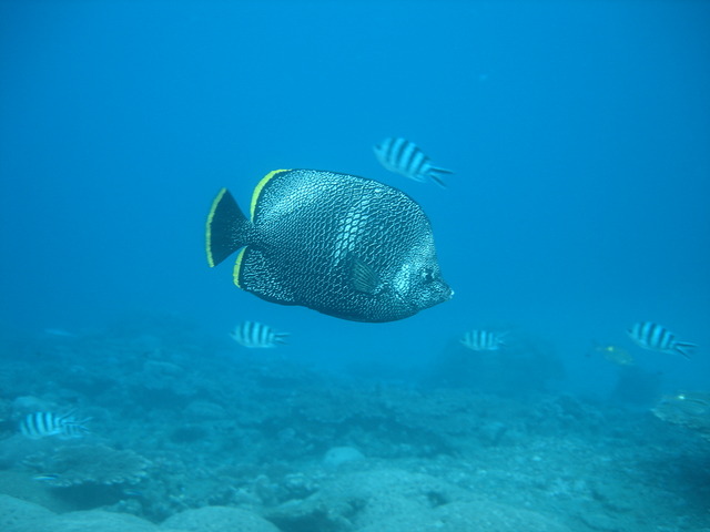 タイトル　ユウゼン