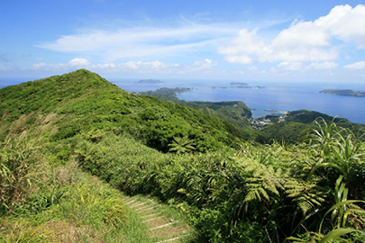 photo 4 of Ogasawara National Park