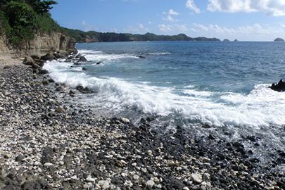 photo 5 of Ogasawara National Park